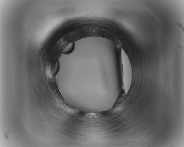 X0000099580239200806131325