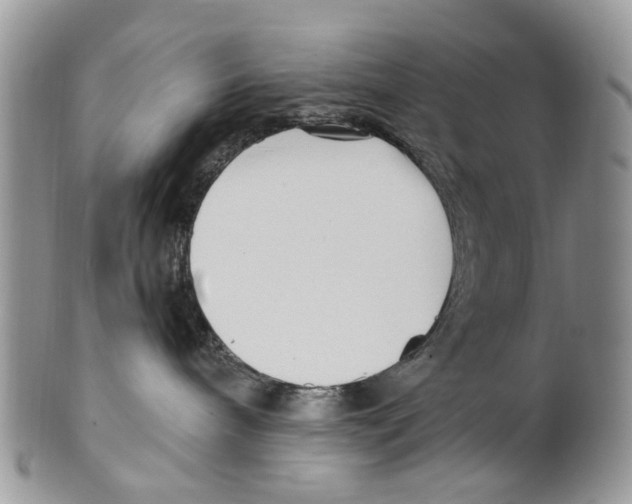 X0000099580240200806131325