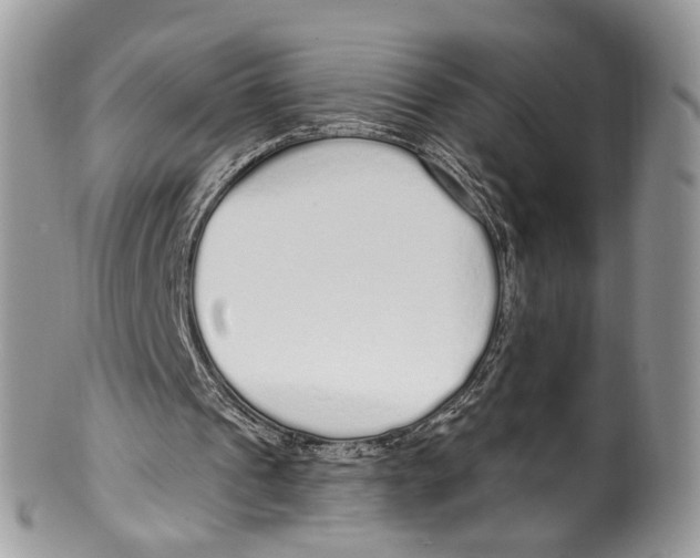 X0000099580241200806131324