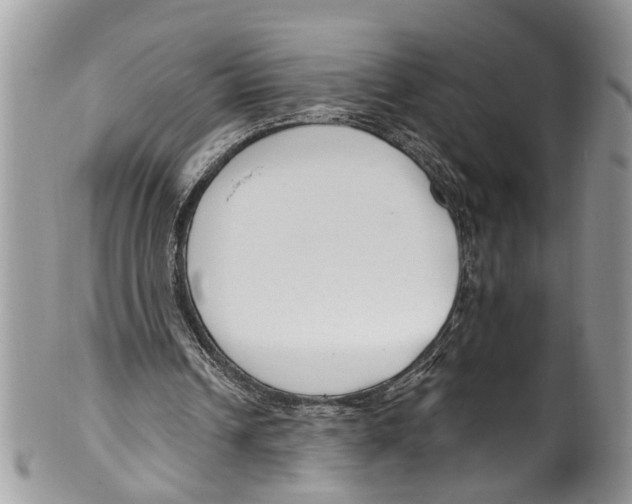 X0000099580242200806131324