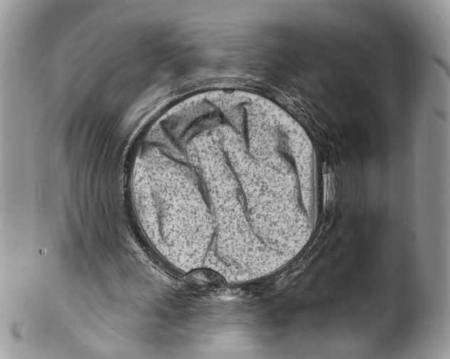 X0000099580243200806131324