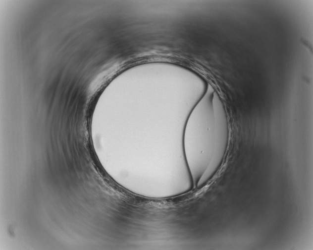 X0000099580245200806131324