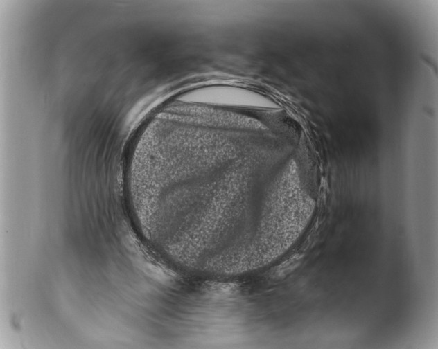 X0000099580247200806131324