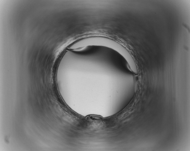 X0000099580248200806131324