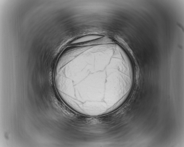 X0000099580249200806131324