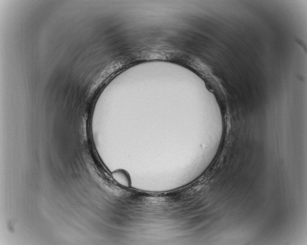 X0000099580250200806131324