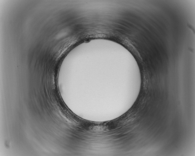 X0000099580251200806131324