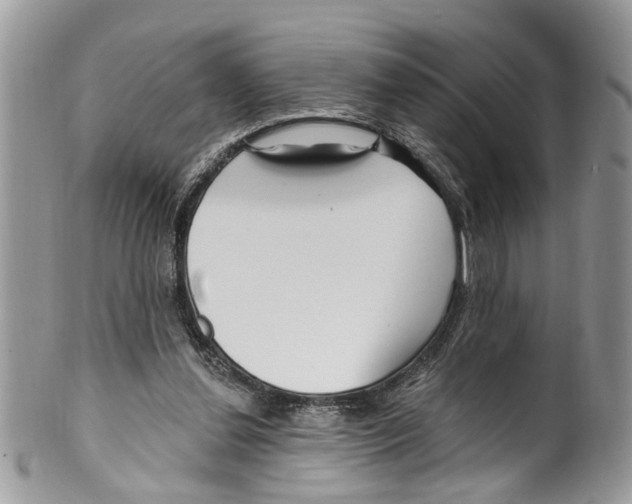 X0000099580252200806131324