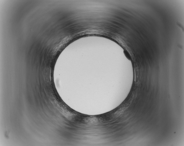 X0000099580253200806131324