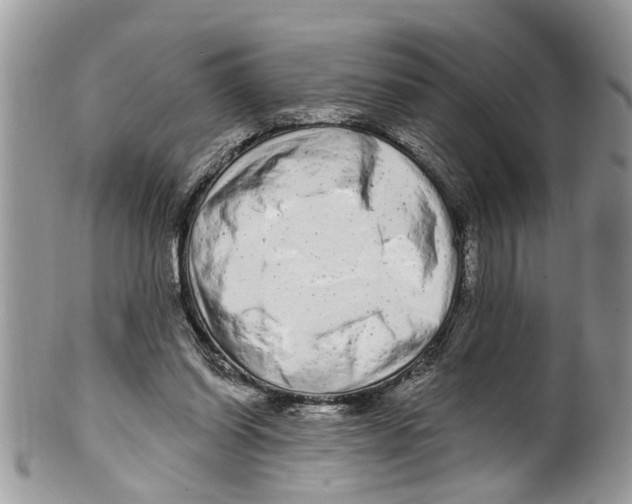 X0000099580254200806131324