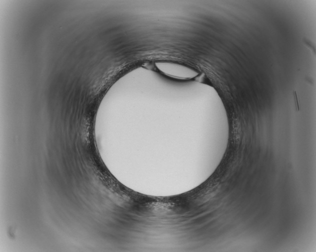 X0000099580255200806131324