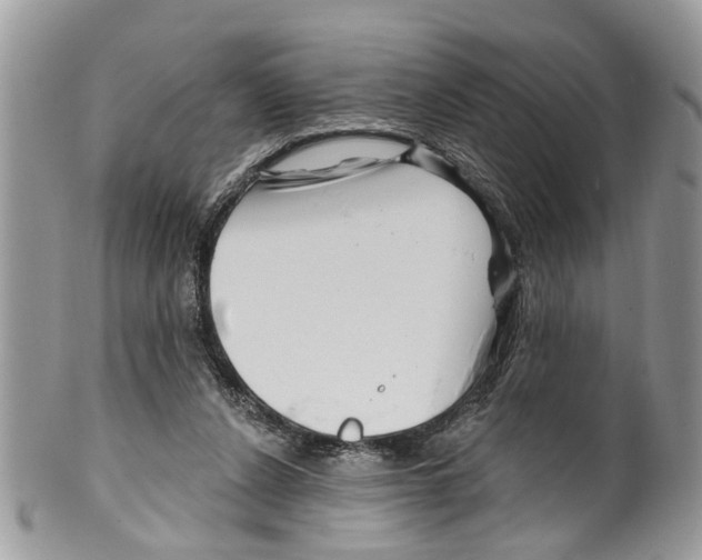 X0000099580256200806131324