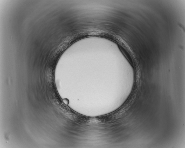 X0000099580257200806131324