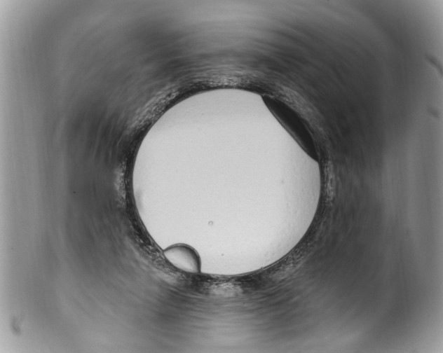 X0000099580258200806131324