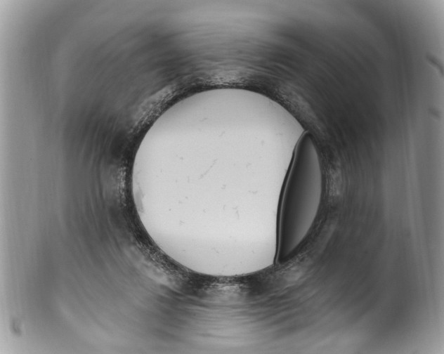 X0000099580260200806131324