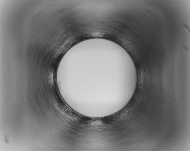 X0000099580262200806131324