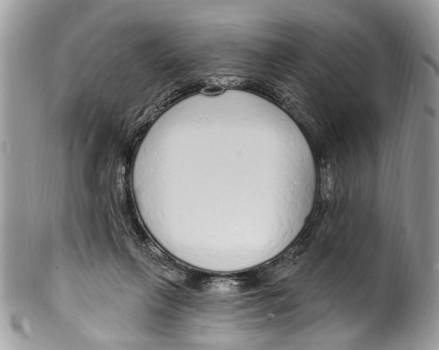 X0000099580263200806131324