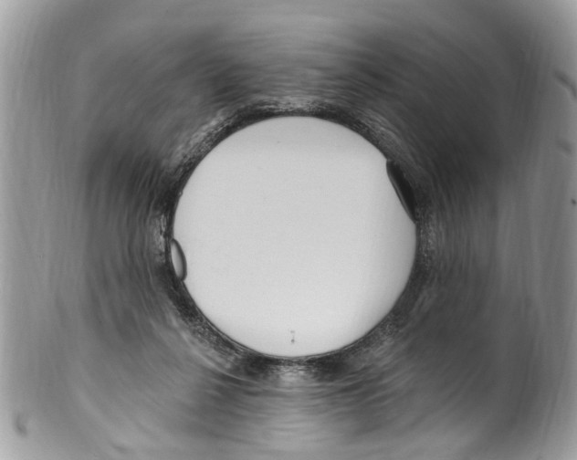 X0000099580264200806131324