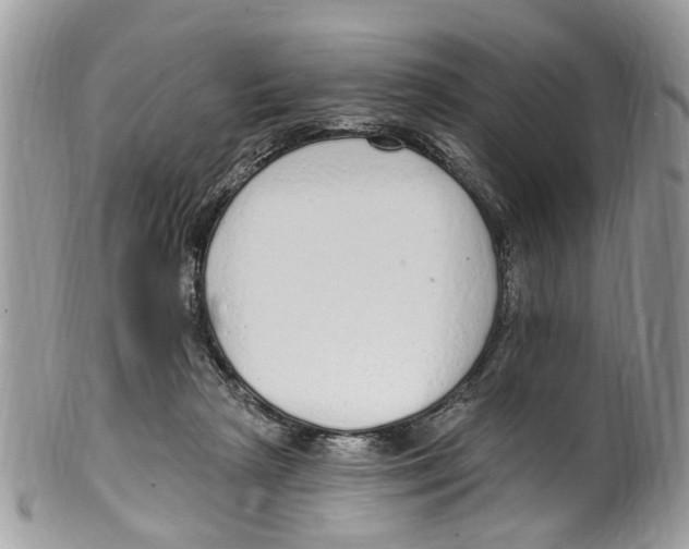 X0000099580265200806131324