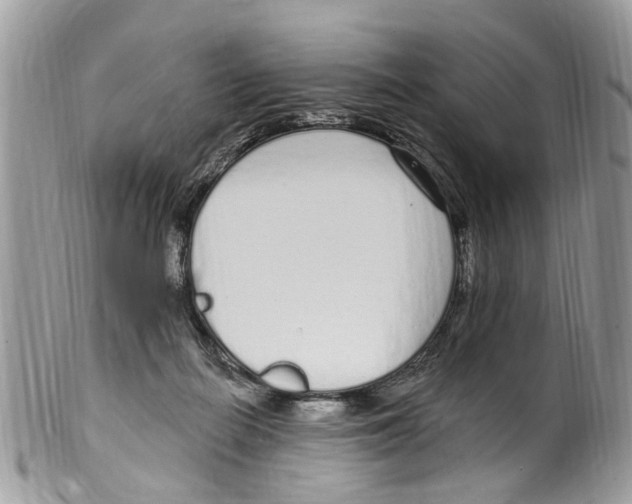 X0000099580266200806131325