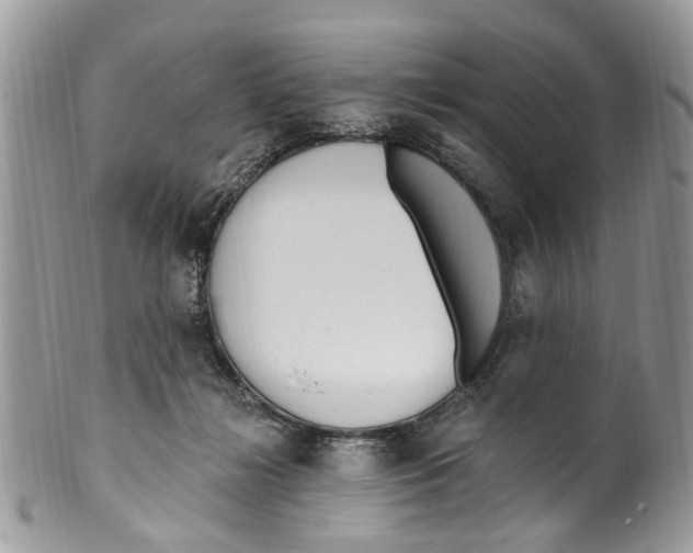 X0000099580268200806131325