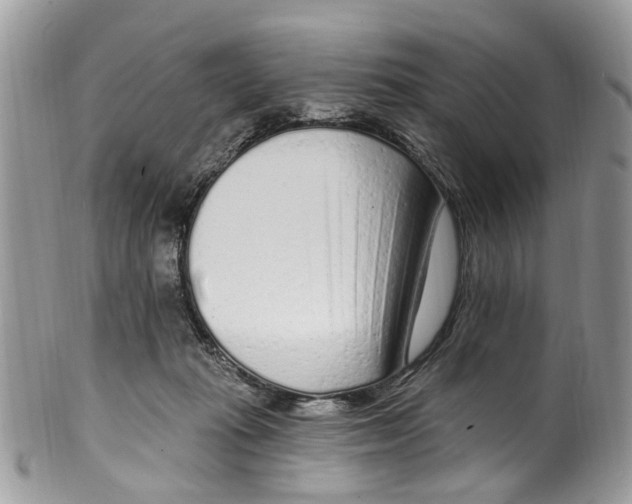 X0000099580269200806131325