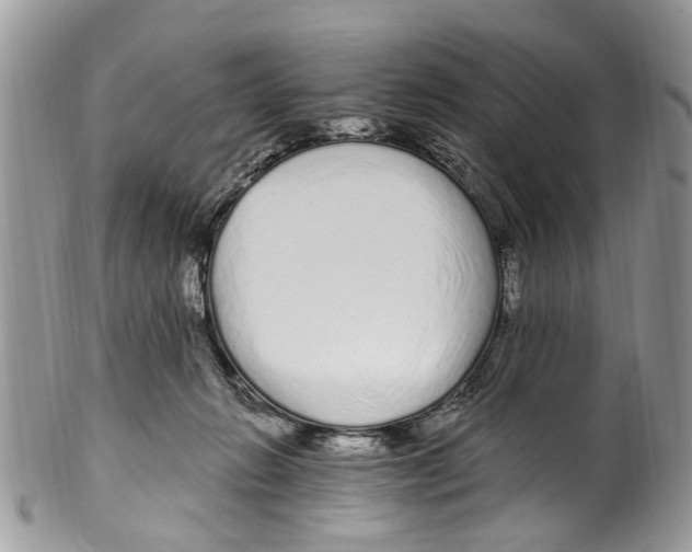 X0000099580270200806131325