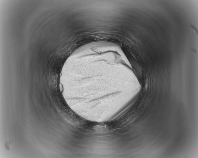 X0000099580271200806131325