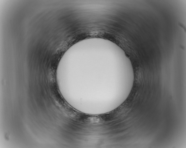 X0000099580272200806131325