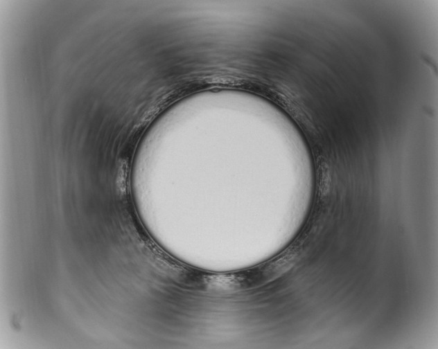 X0000099580273200806131325