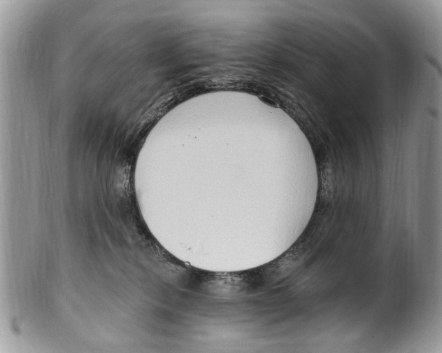 X0000099580278200806131325