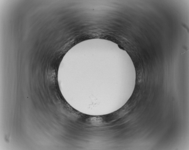 X0000099580279200806131325