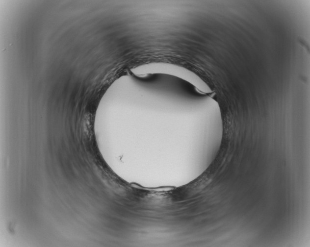 X0000099580280200806131325