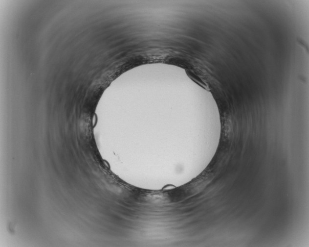 X0000099580283200806131325