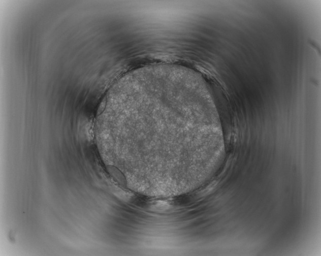 X0000099580285200806131325