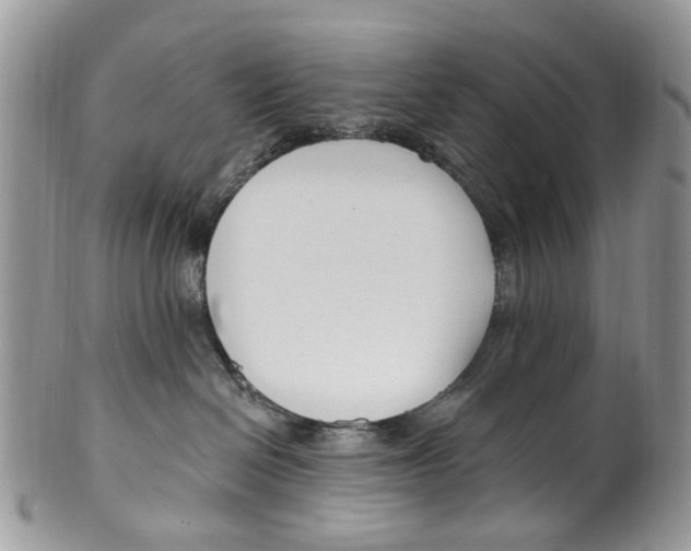 X0000099580286200806131325