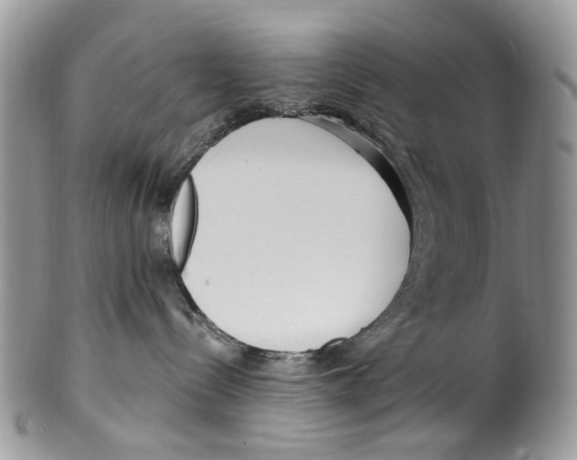 X0000099580288200806131325