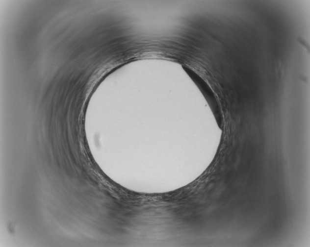 X0000099580289200806131324