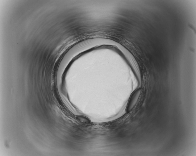 X0000099580290200806131324