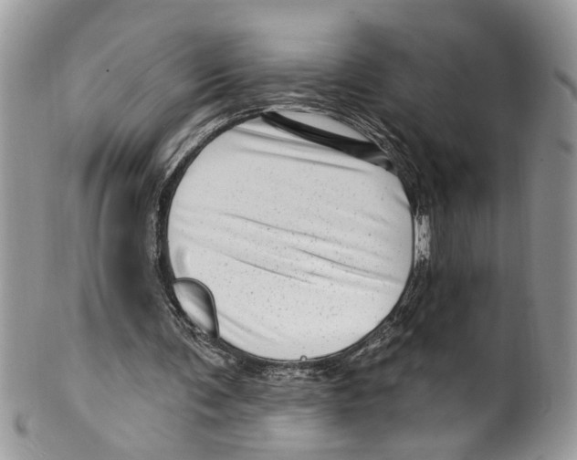 X0000099580291200806131324