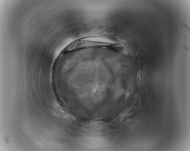 X0000099580292200806131324