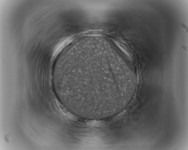 X0000099580293200806131324