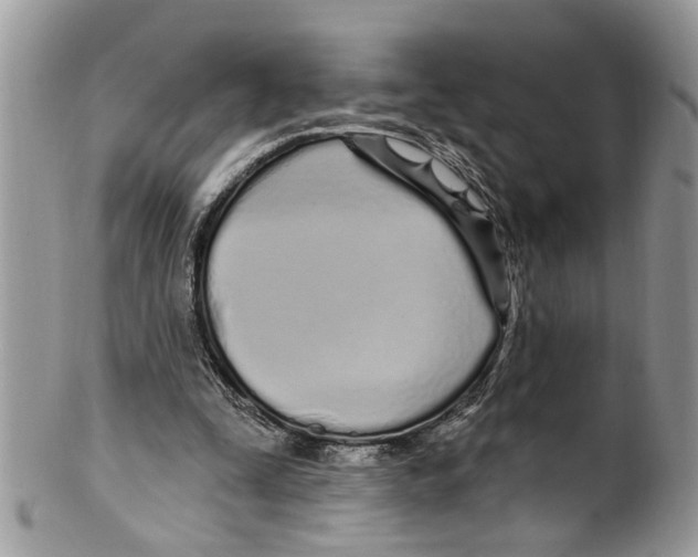 X0000099580295200806131324