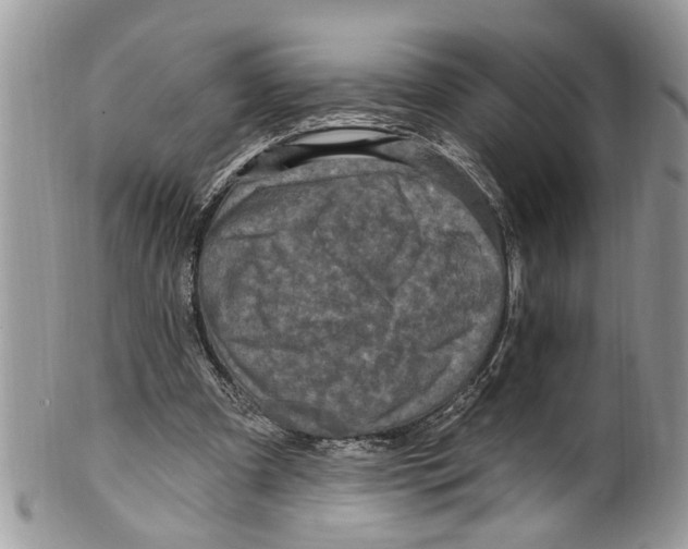 X0000099580297200806131324