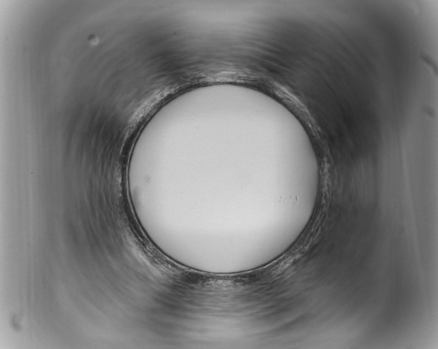 X0000099580298200806131324