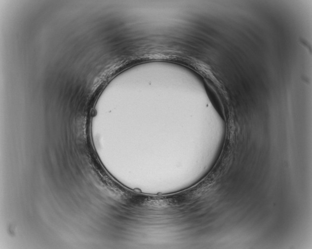 X0000099580299200806131324