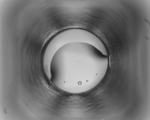 X0000099580300200806131324