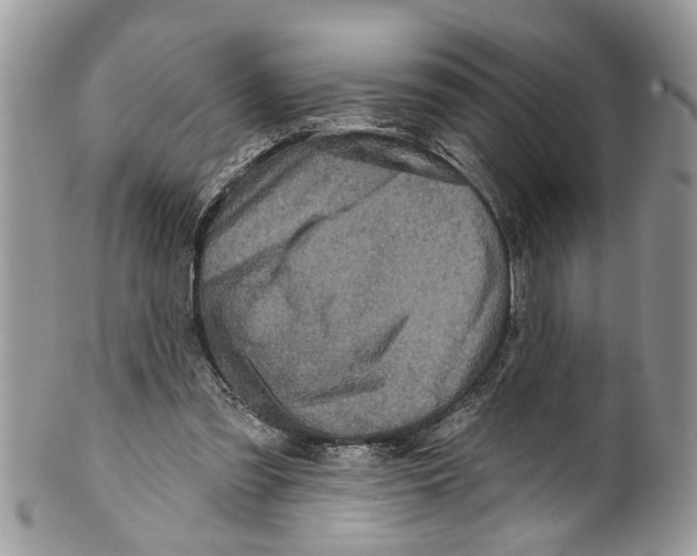 X0000099580301200806131324