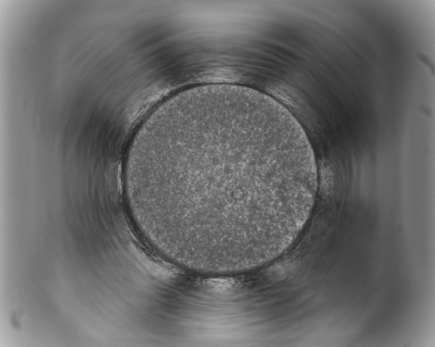 X0000099580302200806131324