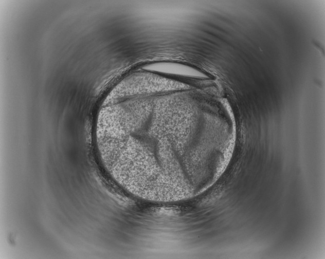 X0000099580303200806131324